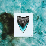 Shark's Tooth Sticker