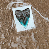 Shark's Tooth Sticker